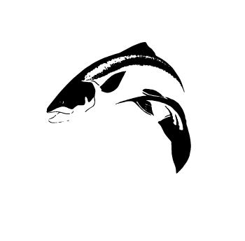 DGAA Logo